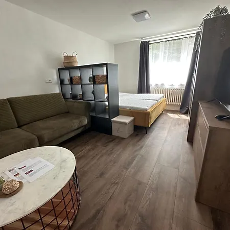 1a1 V Moravske Ostrave Apartment Ostrava