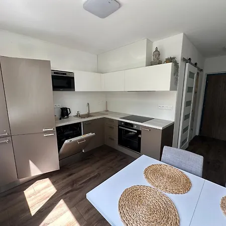 1a1 V Moravske Ostrave Apartment
